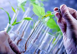  اجرای ۲۰۰ طرح تحقیقاتی کشاورزی در مازندران