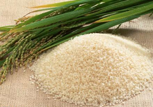 کشف ۱۵ تن برنج خارجی در بابل