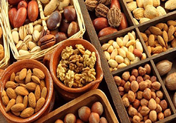 درمان پرندگان شکاری در همدان + فیلم