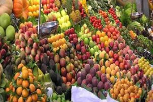 آغاز توزیع میوه‌های تنظیم بازار عید در آذربایجان شرقی