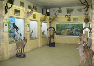 بازدید از موزه تاریخ طبیعی در نوروز رایگان است