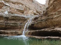 آبشارگزخون جاذبه‌ای گردشگری در جنوب استان بوشهر