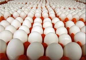 تولید روزانه ۹۰ تن تخم مرغ در خراسان جنوبی/صادرات تخم مرغ به افغانستان متوقف شد