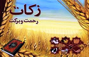 جمع آوری ۸ میلیارد ریال درشهرستان زرندیه