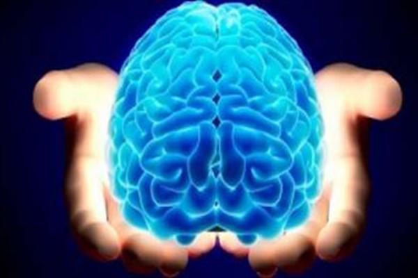 ارتباط میزان هوش با اتصال کارآمد میان نورون‌های مغز