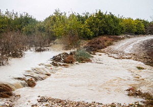 خسارت 20 میلیارد تومانی سیل و  بارندگی در دامغان