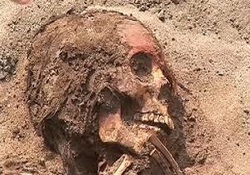 آلودگی پلاستیکی در اقیانوس منجمد جنوبی + فیلم