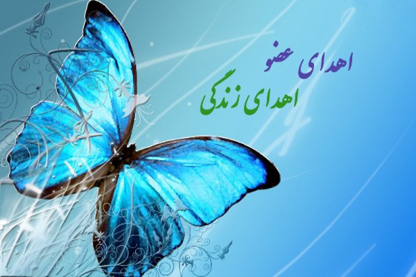 ششمین اهدای عضو سال ۹۷ در یزد انجام شد