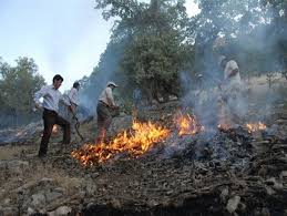آتش سوزی 35هکتار از مراتع کشاورزی کهگیلویه
