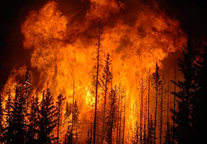 آتش سوزی گسترده در جنگل‌های آمریکا + فیلم