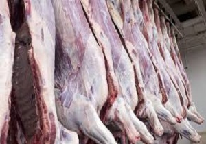 تولید سالانه هفت هزار تن گوشت سفید در ایرانشهر