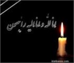 وزیر ارشاد درگذشت محمدامین قانعی راد را تسلیت گفت