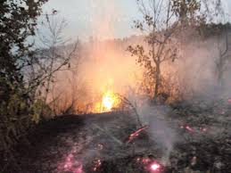 آتش سوزی باغ یک هکتاری در ادرج قلعه رئیسی