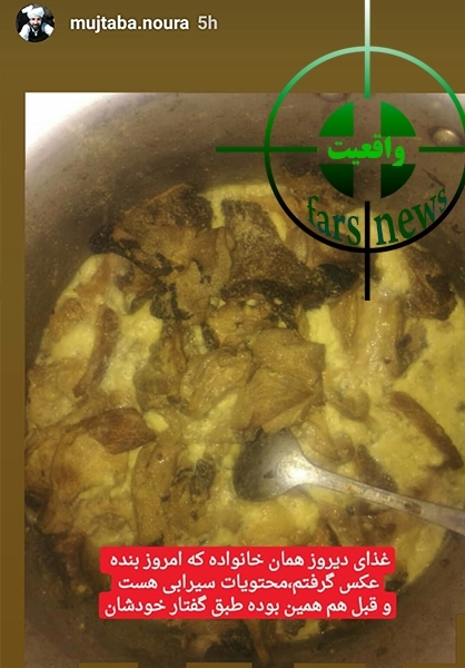 «از شایعه تا واقعیت»/ماجرای خوردن گربه‌ در جنوب ایران چیست؟