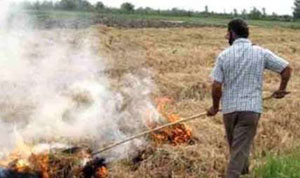 کشاورزان مراقب آتش سوزی گندمزار‌ها باشند