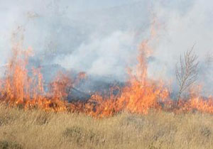 اطلاعیه اداره منابع طبیعی مهاباد در مورد آتش سوزی مراتع