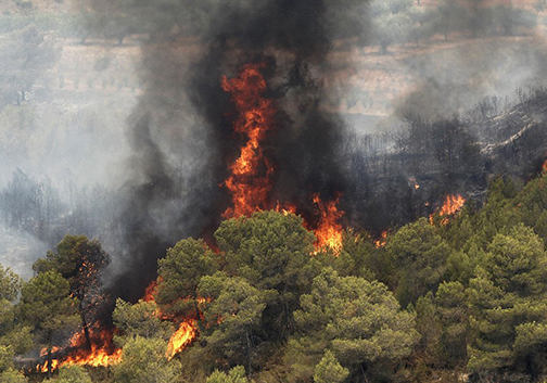 آخرین وضعیت آتش‌سوزی در پارک ملی گلستان/وسعت دقیق آتش‌سوزی مشخص نیست