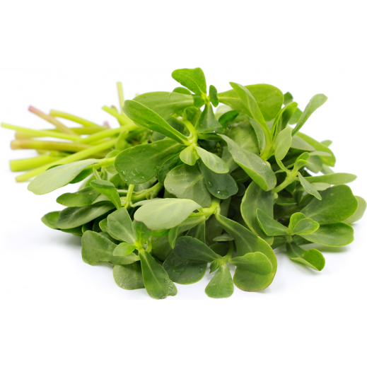 مصرف «این سبزی» درمان ۹۹ درد است