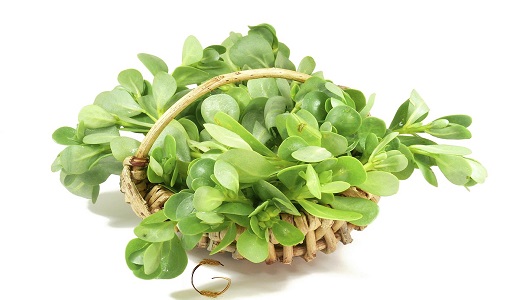 مصرف «این سبزی» درمان ۹۹ درد است