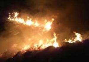 وقوع آتش سوزی در دامنه شاهوار شهرستان شاهرود/ تلاش اکیپ اعزامی برای مهار آتش