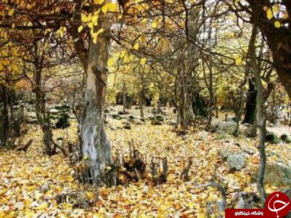چشم انداز زیبا از طبیعت ایران که نمی توان چشم از روی آن برداشت