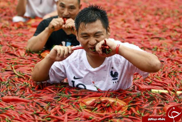 رقابت سالیانه فلفل قرمز در چین / فیلم + تصاویر