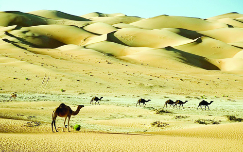 با مشهورترین« صحرا‌های جهان» آشنا شوید‌+تصاویر