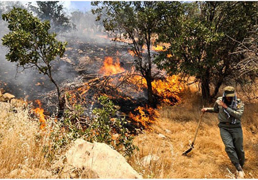 آتش در جنگل نیلکوه گالیکش پس از انفجار معدن