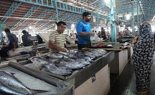 قیمت روز انواع ماهی در بازار + جدول