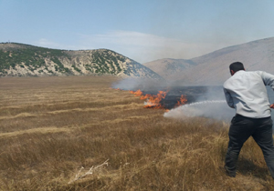 آتش سوزی در ایستگاه تولید بذر کوهپر کجور