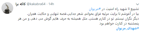 واکنش کاربران در فضای مجازی به 11 شهید منطقه مریوان + تصاویر