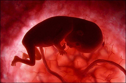 ماجرای زنده سوزاندن کودک 3 ساله توسط منافقین + فیلم