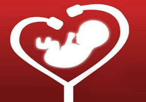 تشخیص ناهنجاری‌های قلب جنین چه زمانی ممکن است؟ + فیلم