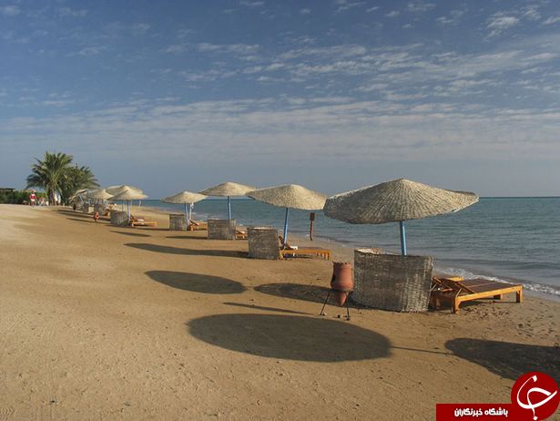 حمله مرگبار کوسه به یک گردشگر در ساحل دریا + عکس//