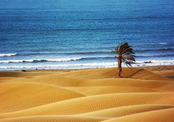 کارت گرافیک قابل حمل ساخته شد + فیلم