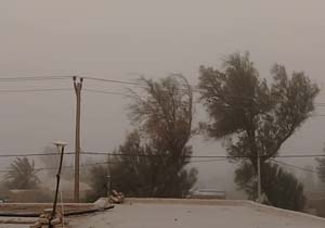 طوفان گرد و خاک در زابل + فیلم