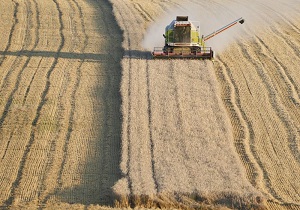 خشکسالی، بدترین سال زراعی آلمان را در ۲۴ سال گذشته رقم زد