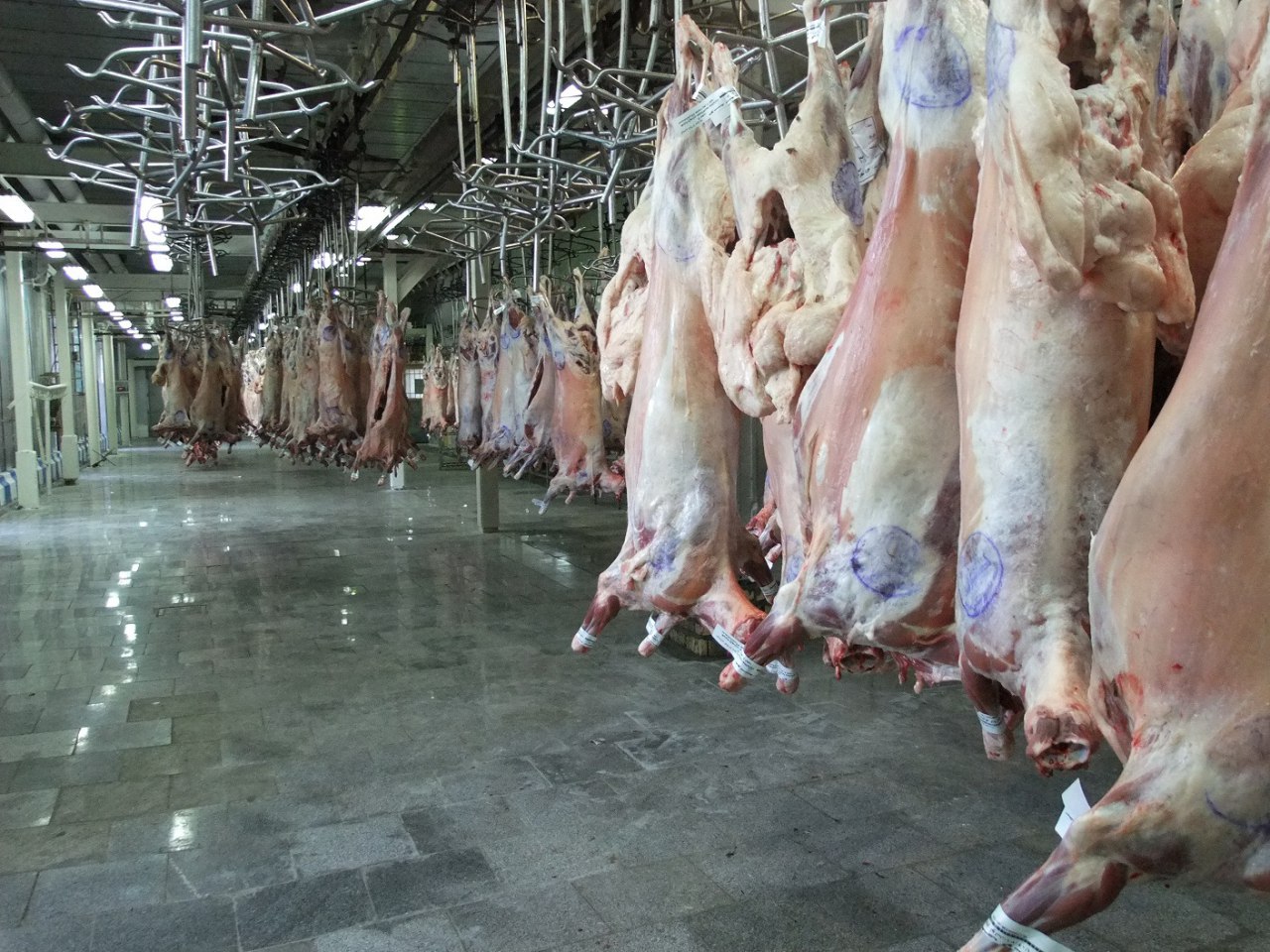 کشتارگاه صنعتی مشهد نقشی در قیمت گوشت ندارد/بهسازی کشتارگاه صنعتی مشهد به منظور افزایش کیفیت گوشت