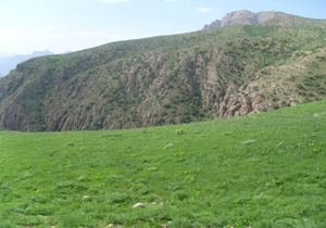 خسارت خشکسالی به مراتع خراسان شمالی