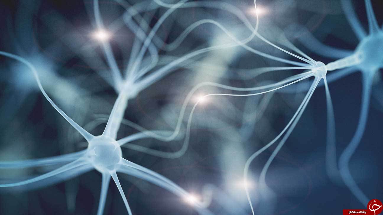 معرفی قدرت‌های جادویی مغز انسان + باور‌های اشتباه درباره قدرت مغز