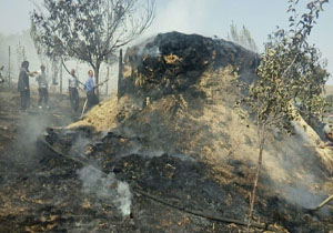آتش‌سوزی انبار کاه و علوفه در روستای اینی + فیلم