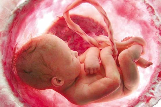 کدام دارو ها باعث سقط جنین می شوند؟