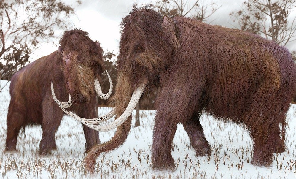 پوکی استخوان دلیل انقراض بزرگترین حیوان عصر یخبندان + تصاویر