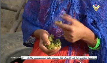 کودکان یمنی برای فرار از گرسنگی و قحطی به خوردن برگ درختان روی آورده‌اند+ تصاویر