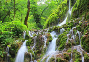 نمایی از آبشار زیبای اوبن در عمق جنگل دودانگه + فیلم