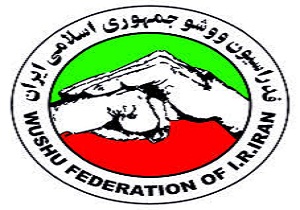 درخشش ووشوکاران قهرمان شاهرودی در مسابقات کشوری