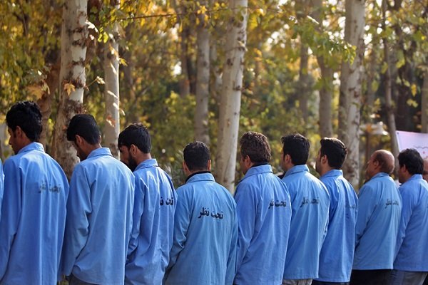 دستگیری ۱۱۲ نفر سارق در استان بوشهر