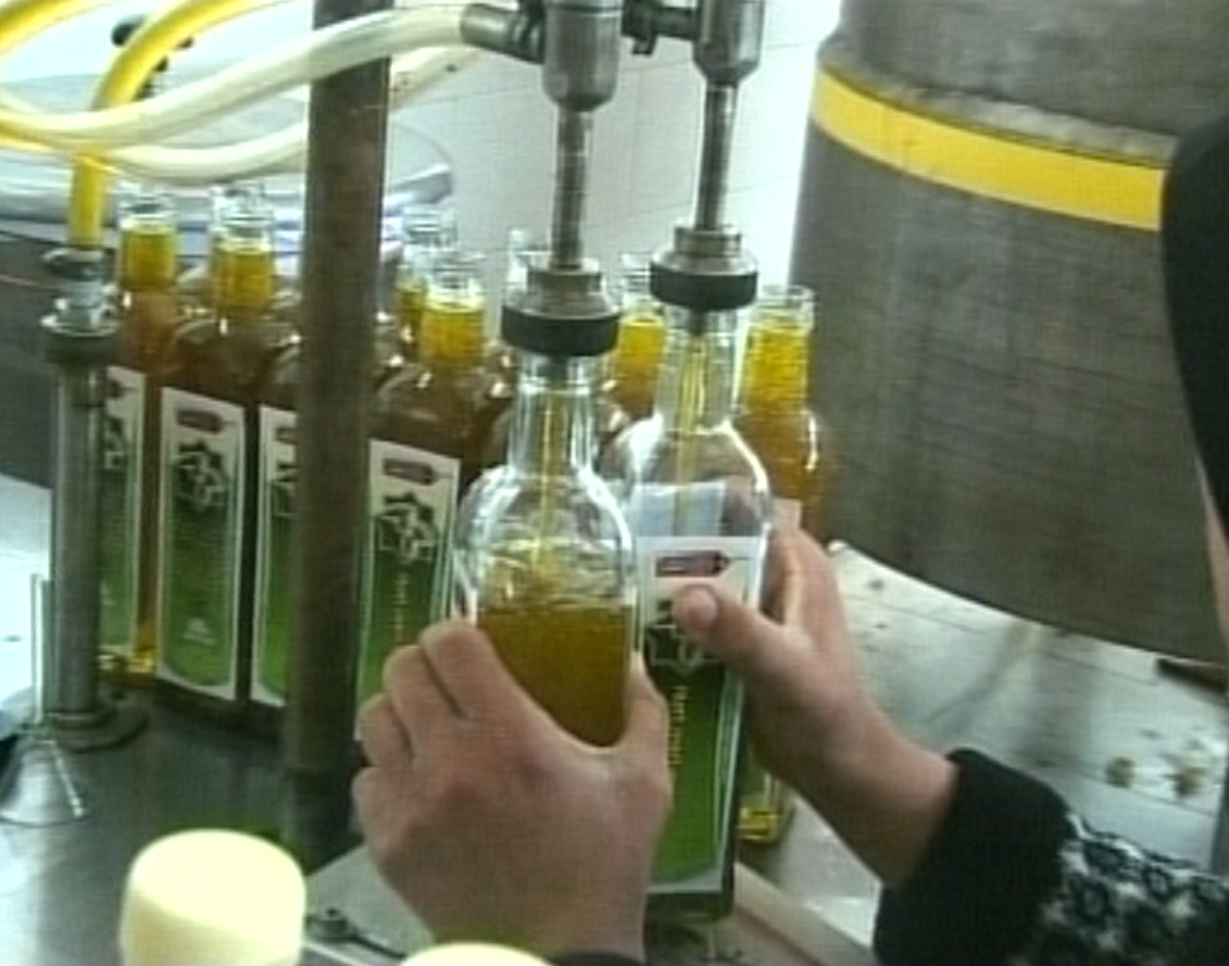 تولید بیش از 100 هزار تن زیتون در کشور / بیش از 40 درصد زیتون کشور در شهرستان طارم زنجان تولید می شود