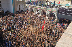 روزی برای تجلیل امامزادگان + فیلم