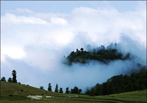 تلفیق جنگل و ابر در منطقه توریستی "جهان نما" + فیلم